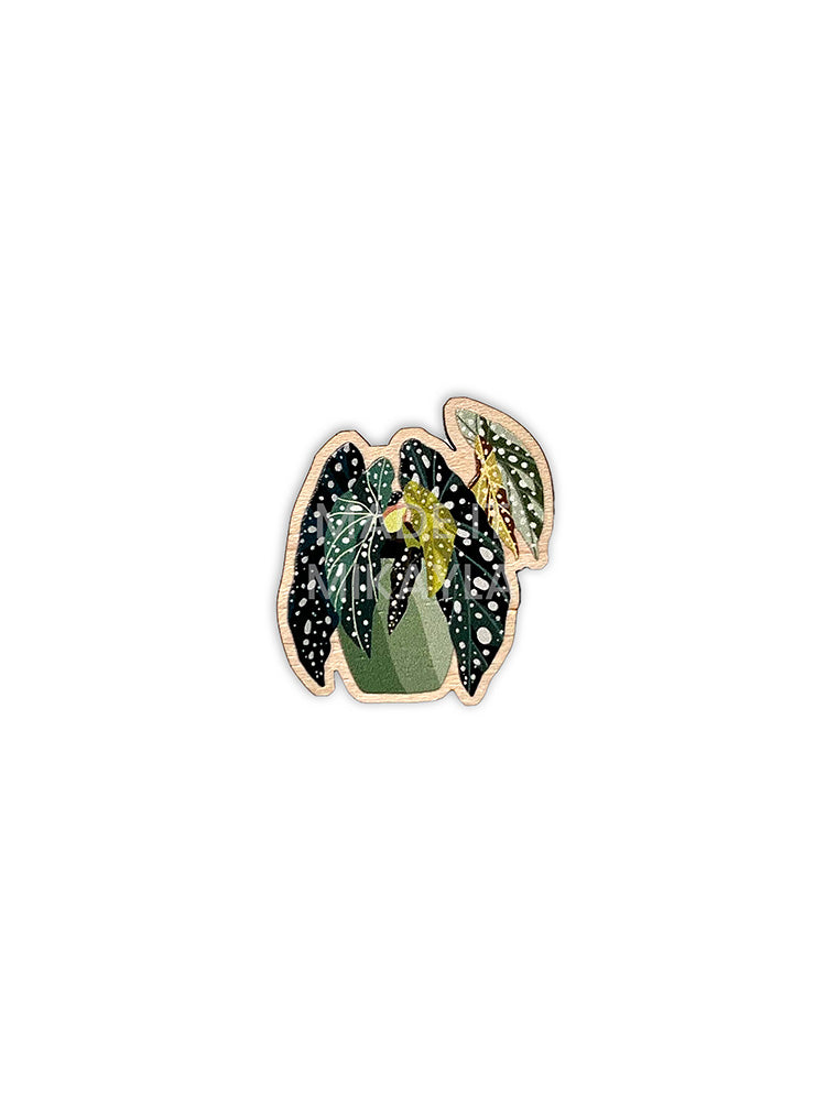 Potted Plants Wood Magnet Set | MadeItMikayla