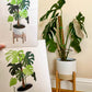 Monstera Plant Art Prints | MadeItMikayla