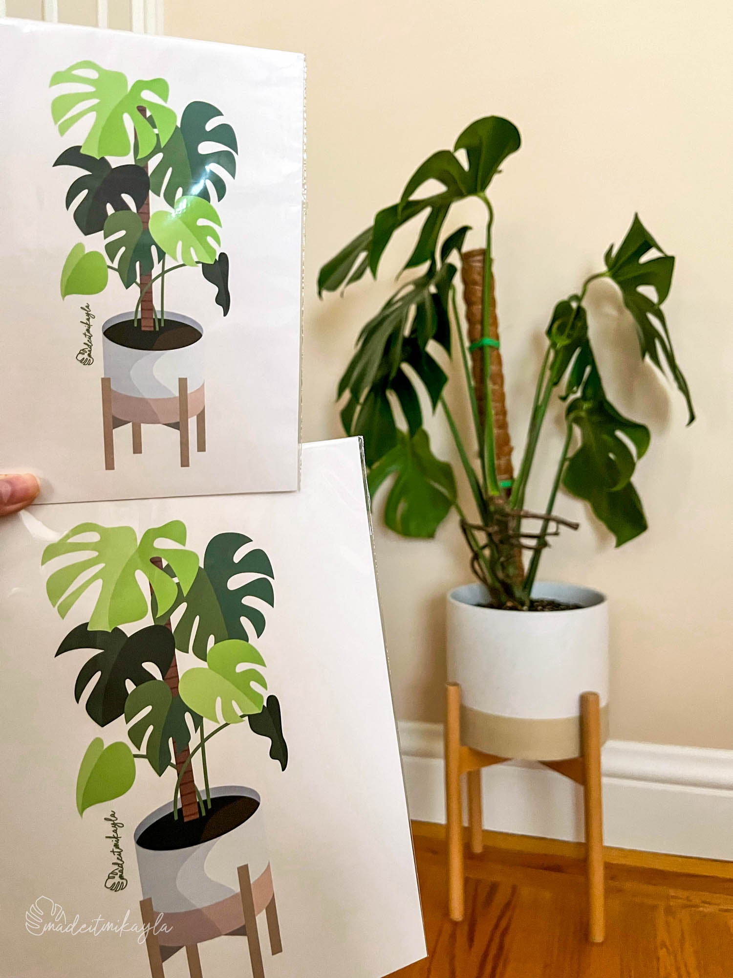 Monstera Plant Art Prints | MadeItMikayla