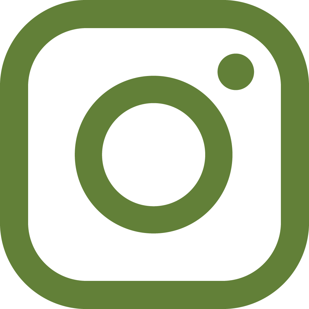 Website Social Media Icon Instagram | MadeItMikayla
