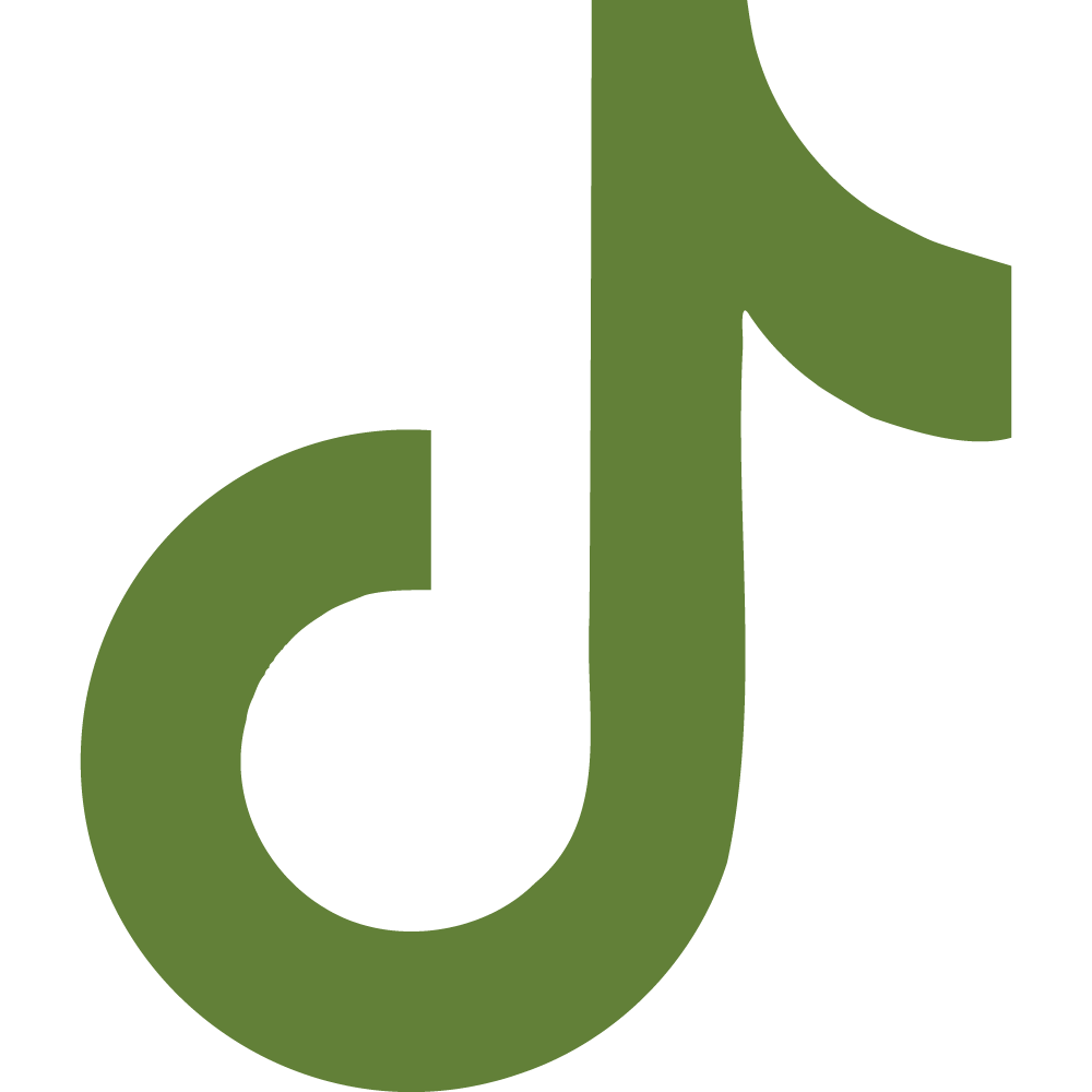 Website Social Media Icon TikTok | MadeItMikayla
