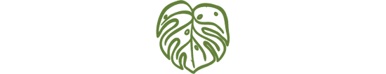 Website Icon Monstera Leaf | MadeItMikayla