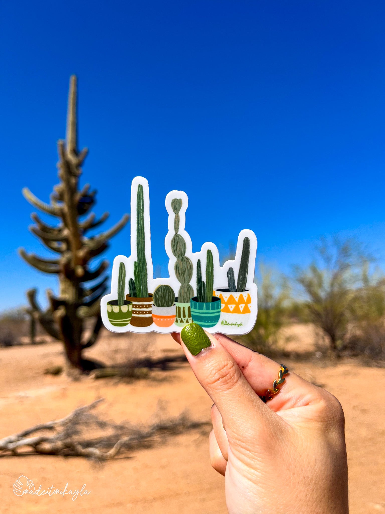 Hand holding a sticker with cacti with desert landscape in the background.