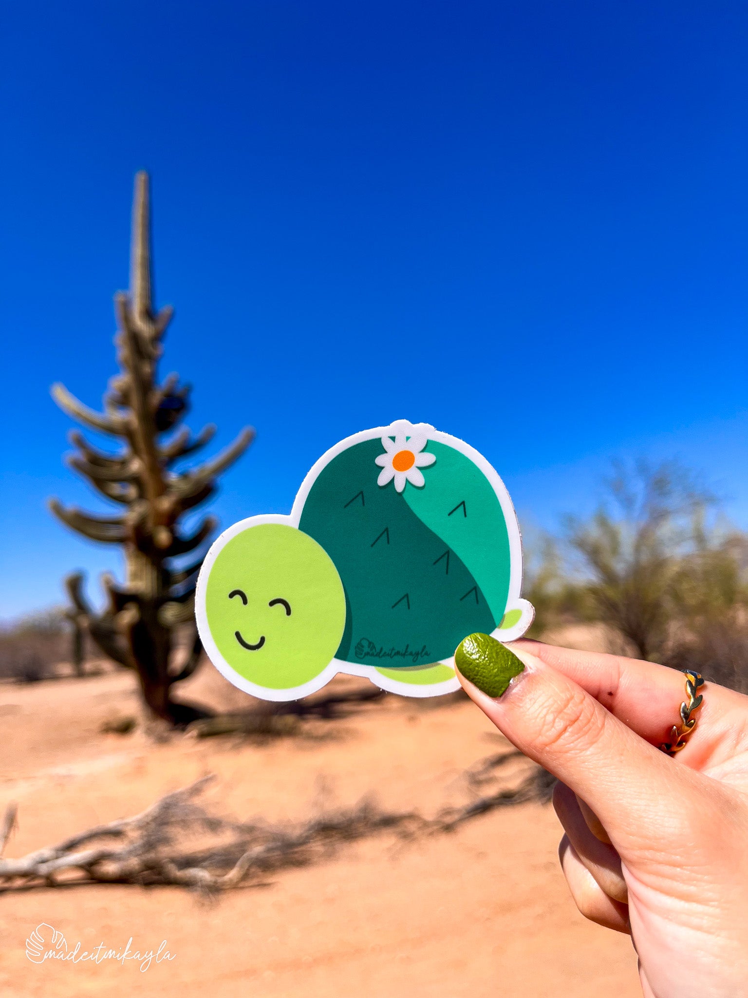 Hand holding a sticker of a smiling cactus turtle with a desert landscape in the background.