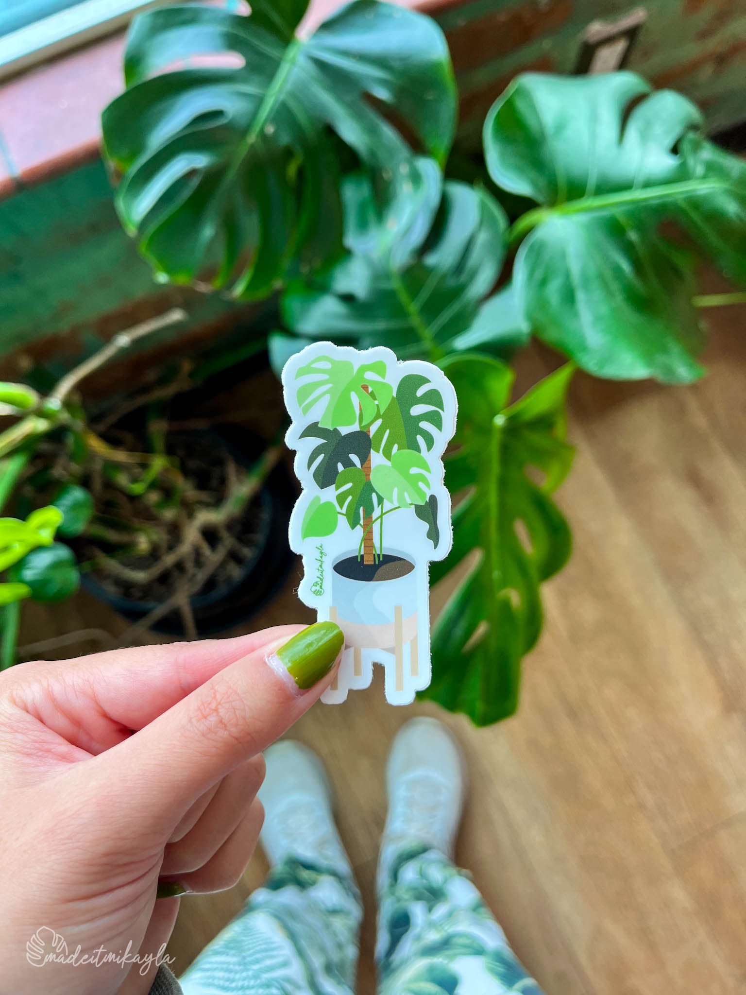 Hand holding a monstera plant sticker with a background of a green monstera plant on a wooden floor.