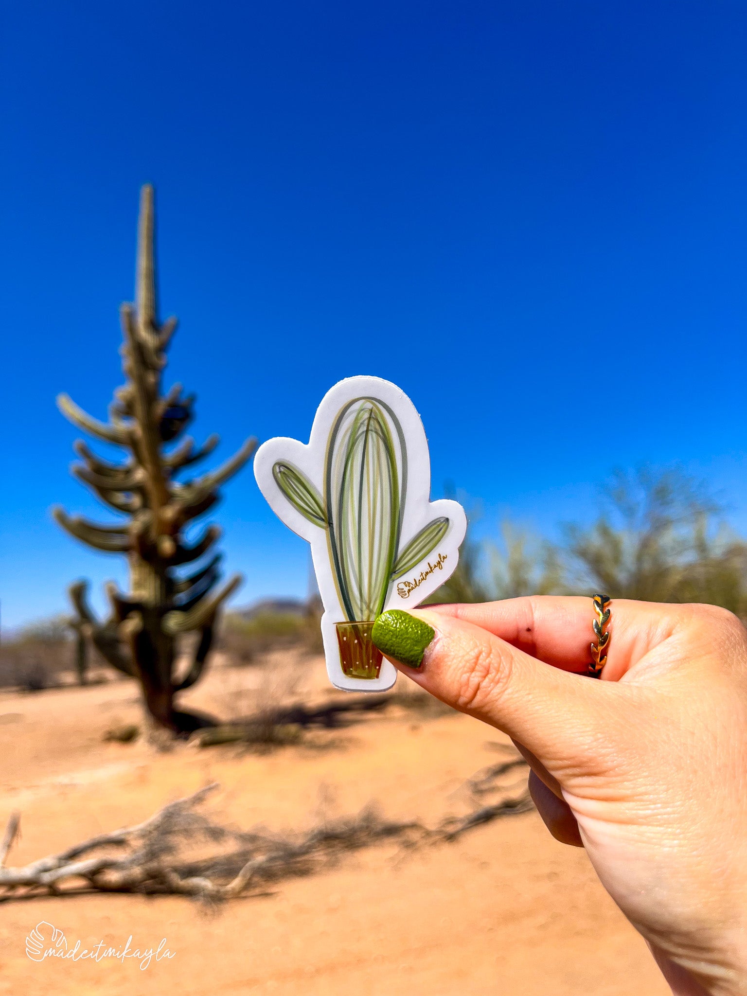 Hand holding a cactus-shaped sticker with a desert landscape in the background.