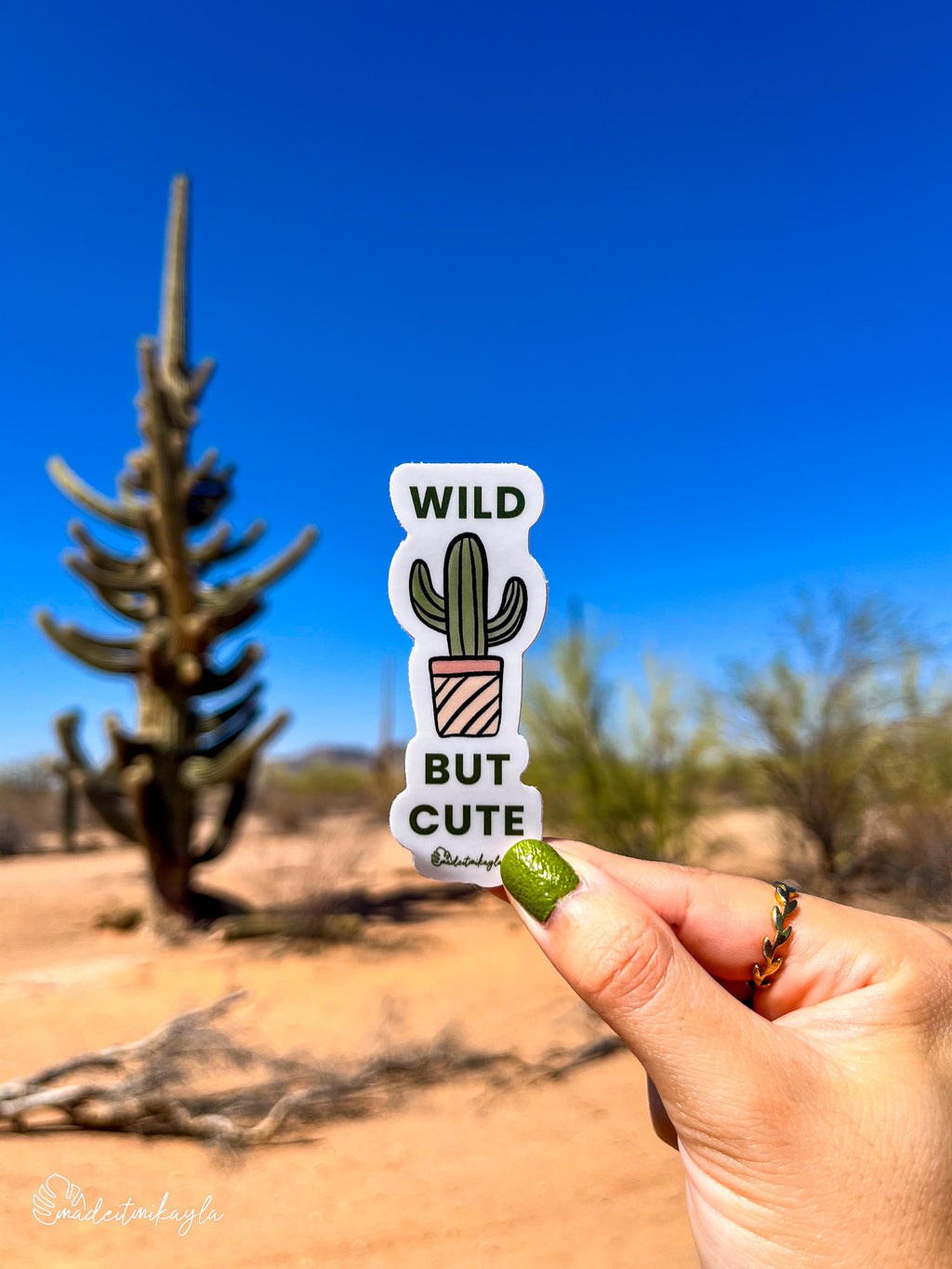 Hand holding a 'Wild but Cute' sticker with a cactus design in a desert landscape background.