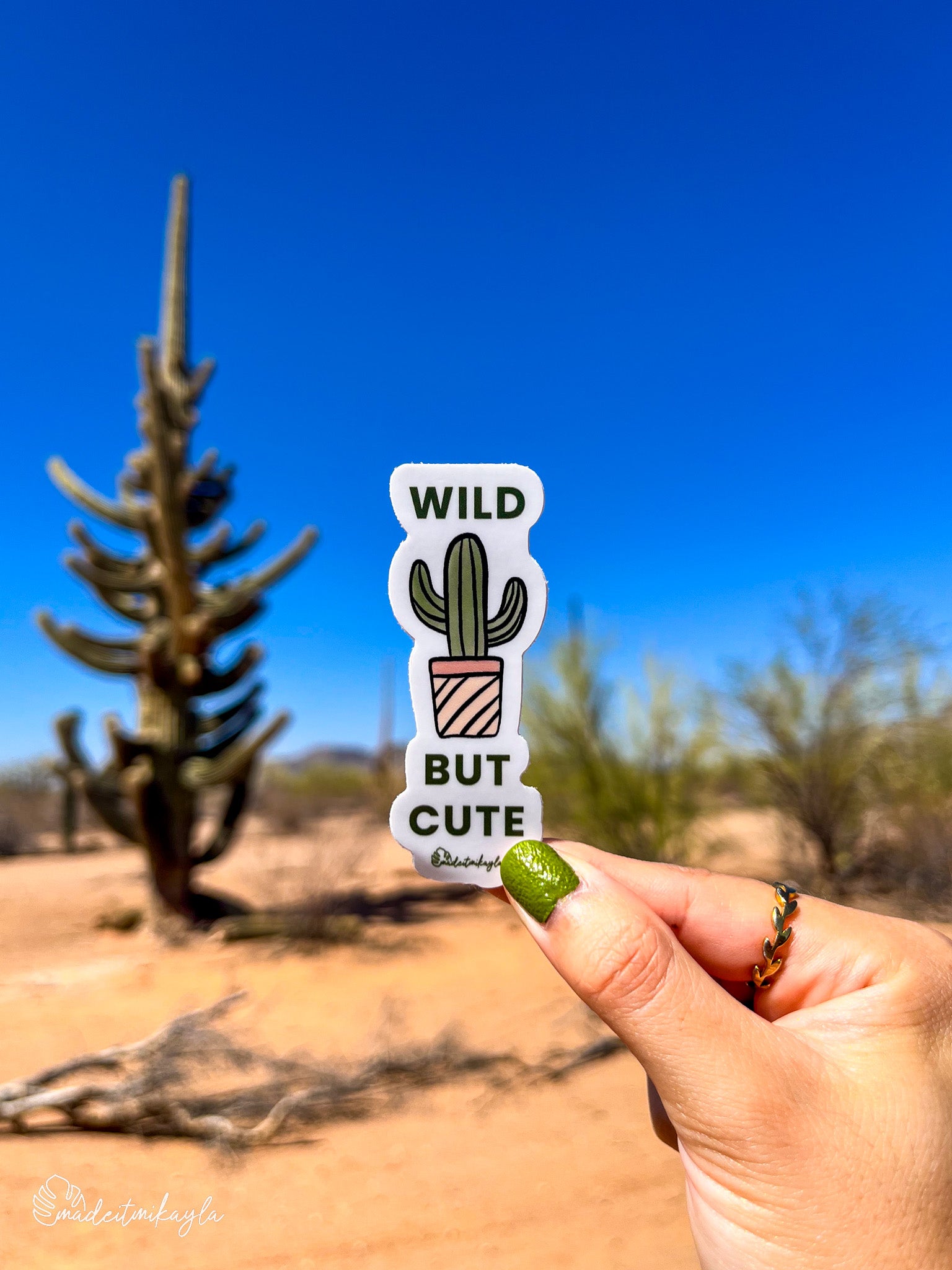 Hand holding a 'Wild but Cute' sticker with a cactus design in a desert landscape background.