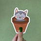 Cat In Pots Sticker | MadeItMikayla