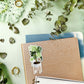 Monstera Plant Sticker | MadeItMikayla