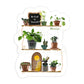 CLEAR Be-Leaf Plant Shelves Sticker | MadeItMikayla
