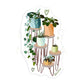 CLEAR Plant Stools Sticker | MadeItMikayla