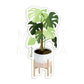 Monstera Plant Sticker | MadeItMikayla